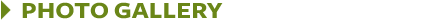 Commercial