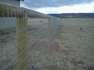 Ag_horsewire_woodposts