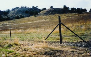 BarbWireMetalBraces