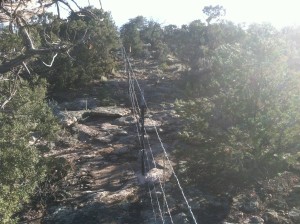 Fence line image 1