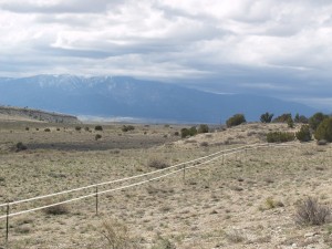 Mountainview