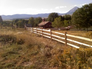 Summer2011 001