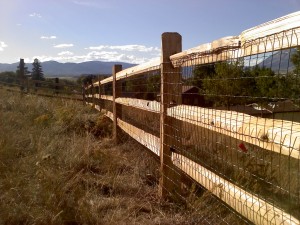 Summer2011 003