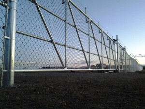 IMG_0798    