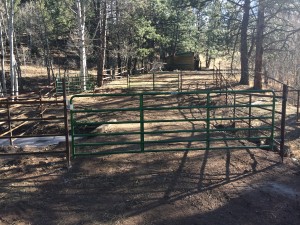 IMG_0774