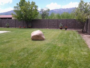 20150528_125129    